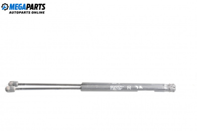 Амортисьор за багажник/товарно пространство за Peugeot 4007 SUV (02.2007 - 03.2013)