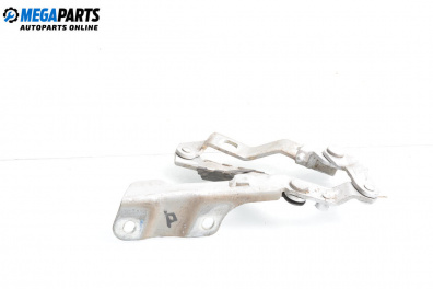 Панта преден капак за Volkswagen New Beetle Hatchback (01.1998 - 09.2010), 2+1 вр., хечбек, позиция: дясна