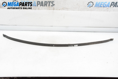 Външни лайсни за Renault Megane Scenic (10.1996 - 12.2001), миниван, позиция: лява