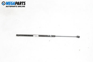 Амортисьор за багажник/товарно пространство за Renault Megane Scenic (10.1996 - 12.2001)