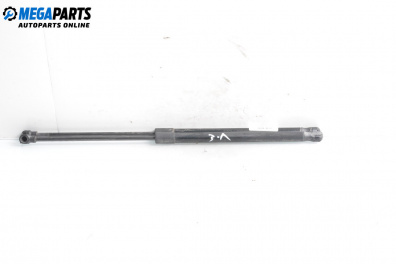 Амортисьор за багажник/товарно пространство за Audi A3 Hatchback I (09.1996 - 05.2003)