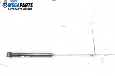 Амортисьор за Hyundai Getz Hatchback (08.2002 - ...), хечбек, позиция: задна, лява