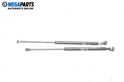 Амортисьор за багажник/товарно пространство за Renault Scenic I Minivan (09.1999 - 07.2010)