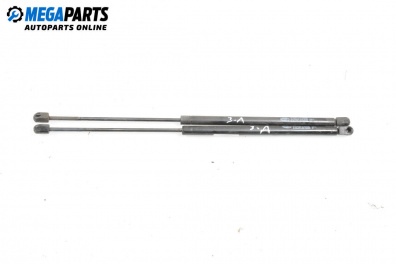 Амортисьор за багажник/товарно пространство за Renault Scenic I Minivan (09.1999 - 07.2010)