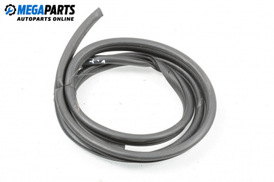 Уплътнение за врата за Hyundai i20 Hatchback I (08.2008 - 12.2014), 4+1 вр., хечбек, позиция: задна, лява