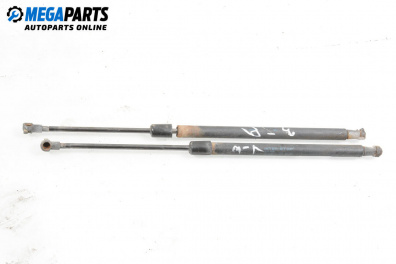 Амортисьор за багажник/товарно пространство за Audi A3 Hatchback II (05.2003 - 08.2012)