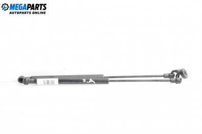 Амортисьор за багажник/товарно пространство за Renault Scenic II Minivan (06.2003 - 07.2010)