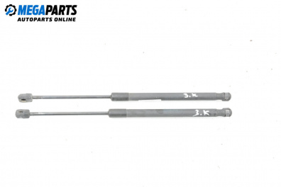 Амортисьор за багажник/товарно пространство за Suzuki Swift III Hatchback (02.2005 - 10.2010)