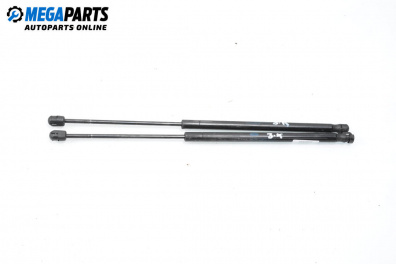 Амортисьор за багажник/товарно пространство за Land Rover Range Rover Sport I (02.2005 - 03.2013)