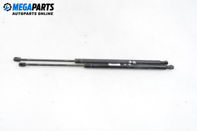 Амортисьор за багажник/товарно пространство за Land Rover Range Rover Sport I (02.2005 - 03.2013)