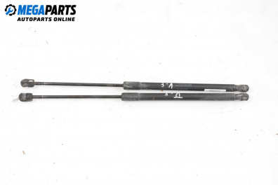 Амортисьор за багажник/товарно пространство за Mercedes-Benz A-Class Hatchback W169 (09.2004 - 06.2012)