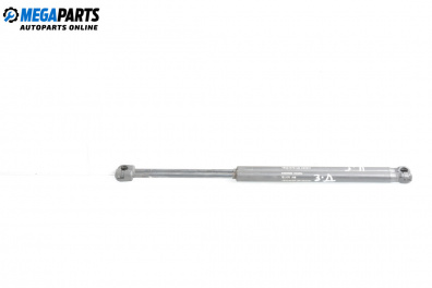 Амортисьор за багажник/товарно пространство за Fiat Punto Hatchback II (09.1999 - 07.2012)