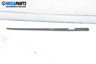 Външна лайсна врата за Fiat Punto Hatchback II (09.1999 - 07.2012), хечбек, позиция: задна, дясна