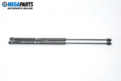 Амортисьор за багажник/товарно пространство за Renault Scenic I Minivan (09.1999 - 07.2010)