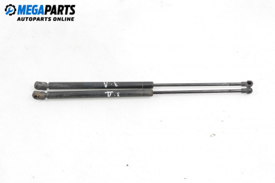 Амортисьор за багажник/товарно пространство за Audi A3 Hatchback I (09.1996 - 05.2003)