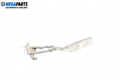 Панта преден капак за Volkswagen Golf V Hatchback (10.2003 - 02.2009), 4+1 вр., хечбек, позиция: лява