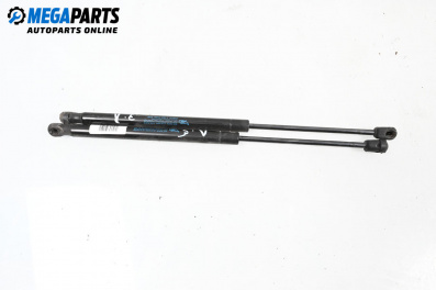 Амортисьор за багажник/товарно пространство за Citroen C3 Hatchback I (02.2002 - 11.2009)