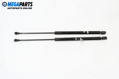 Амортисьор за багажник/товарно пространство за Audi A3 Hatchback I (09.1996 - 05.2003)