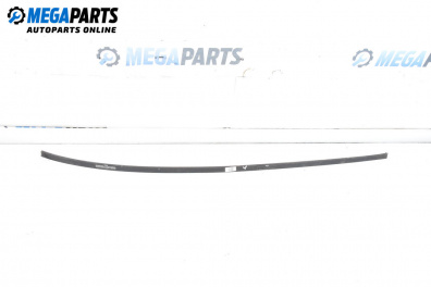 Лайсна за Renault Megane II Hatchback (07.2001 - 10.2012), хечбек, позиция: дясна