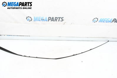 Външни лайсни за Mercedes-Benz B-Class Hatchback I (03.2005 - 11.2011), хечбек, позиция: предна