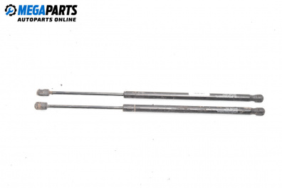 Амортисьор за багажник/товарно пространство за Renault Scenic II Minivan (06.2003 - 07.2010)