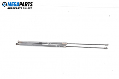 Амортисьор за багажник/товарно пространство за Renault Kangoo Van (08.1997 - 02.2008)