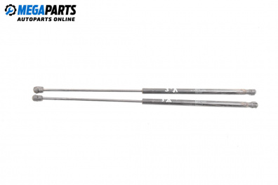 Амортисьор за багажник/товарно пространство за Fiat Croma Station Wagon (06.2005 - 08.2011)