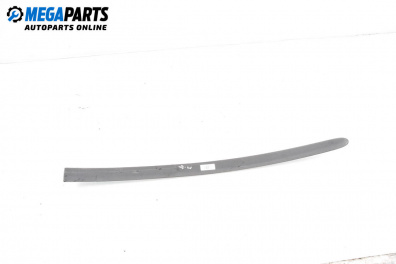 Външни лайсни за Seat Ibiza III Hatchback (02.2002 - 11.2009), хечбек, позиция: дясна