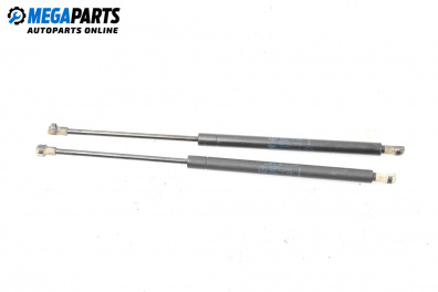 Амортисьор за багажник/товарно пространство за Renault Scenic I Minivan (09.1999 - 07.2010)