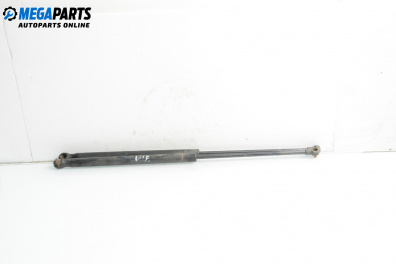 Амортисьор за багажник/товарно пространство за Seat Ibiza III Hatchback (02.2002 - 11.2009)