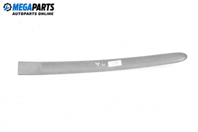 Външни лайсни за Seat Ibiza III Hatchback (02.2002 - 11.2009), хечбек, позиция: предна