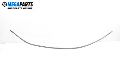 Външни лайсни за Audi A5 Coupe I (06.2007 - 01.2017), купе, позиция: дясна