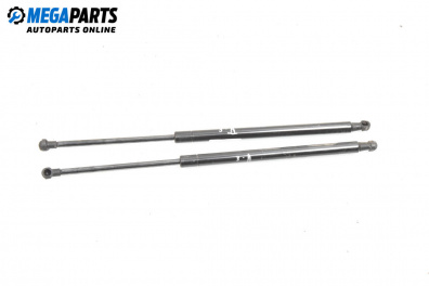 Амортисьор за багажник/товарно пространство за Citroen C5 II Hatchback (08.2004 - 01.2008)