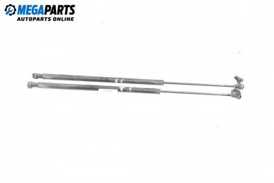 Амортисьор за багажник/товарно пространство за Renault Espace IV Minivan (11.2002 - 02.2015)