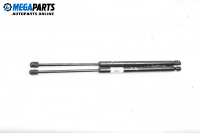 Амортисьор за багажник/товарно пространство за Renault Espace III Minivan (11.1996 - 10.2002)