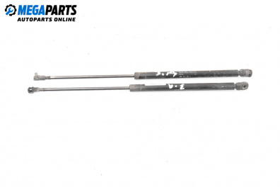 Амортисьор за багажник/товарно пространство за Seat Leon Hatchback I (11.1999 - 06.2006)