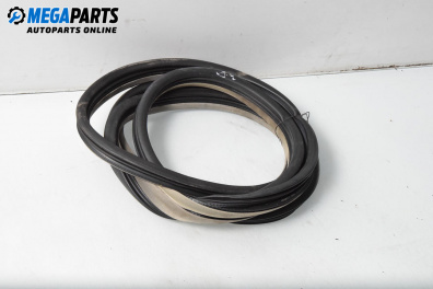 Уплътнение за врата за Renault Espace IV Minivan (11.2002 - 02.2015), 4+1 вр., миниван, позиция: задна, дясна