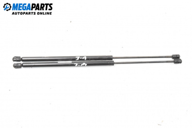 Амортисьор за багажник/товарно пространство за Renault Scenic I Minivan (09.1999 - 07.2010)