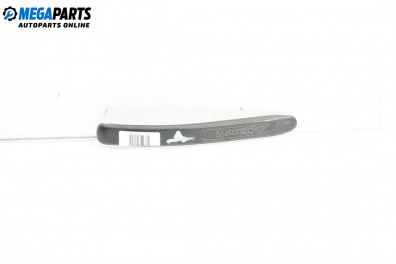 Външни лайсни за Renault Scenic I Minivan (09.1999 - 07.2010), миниван, позиция: дясна