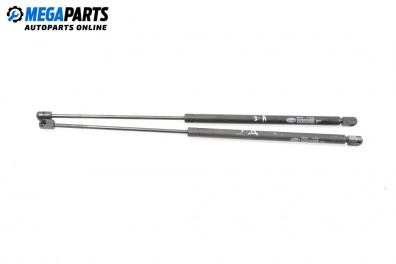 Амортисьор за багажник/товарно пространство за Renault Scenic I Minivan (09.1999 - 07.2010)