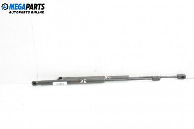 Амортисьор за багажник/товарно пространство за Hyundai Santa Fe I SUV (11.2000 - 03.2006)