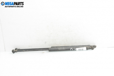 Амортисьор за багажник/товарно пространство за Renault Scenic I Minivan (09.1999 - 07.2010)