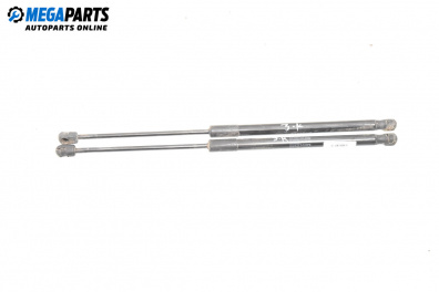 Амортисьор за багажник/товарно пространство за Mercedes-Benz A-Class Hatchback W169 (09.2004 - 06.2012)