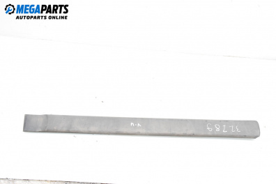 Външна лайсна врата за Peugeot Partner Combispace (05.1996 - 12.2015), миниван, позиция: предна, лява