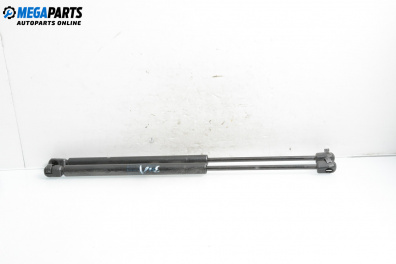 Амортисьор за багажник/товарно пространство за Hyundai Santa Fe I SUV (11.2000 - 03.2006)