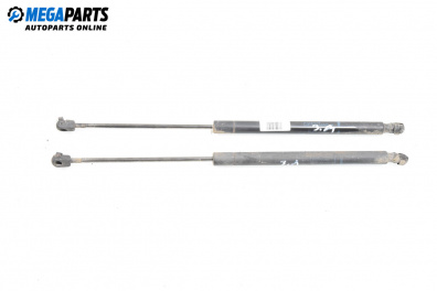 Амортисьор за багажник/товарно пространство за Renault Megane II Grandtour (08.2003 - 08.2012)