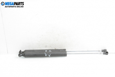 Амортисьор за багажник/товарно пространство за Renault Vel Satis Hatchback (06.2002 - 07.2009)