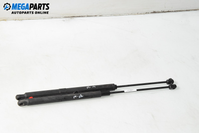 Амортисьор преден капак за Mercedes-Benz CLK-Class Coupe (C209) (06.2002 - 05.2009)