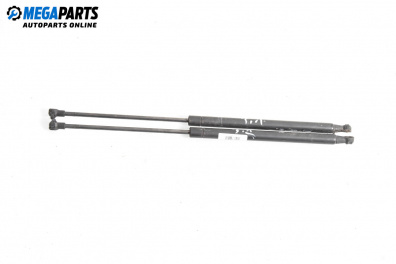 Амортисьор за багажник/товарно пространство за Renault Laguna II Hatchback (03.2001 - 12.2007)