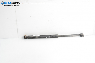 Амортисьор за багажник/товарно пространство за Ford Focus I Hatchback (10.1998 - 12.2007)